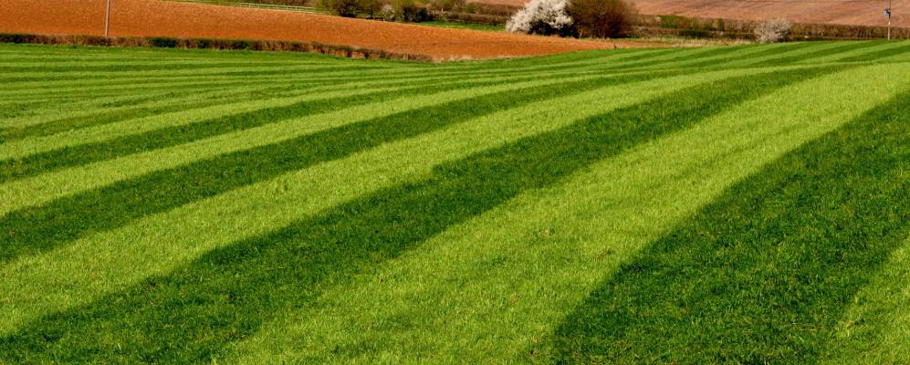 
            Фотография Сталбридджа