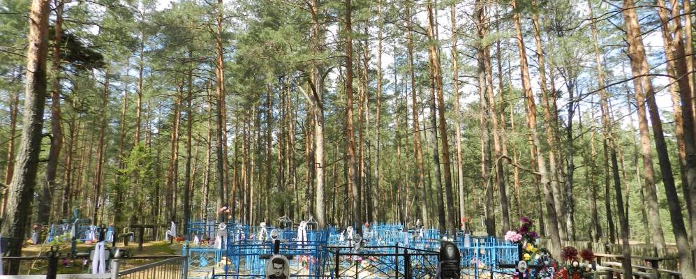 
            Фотография Красного Луча