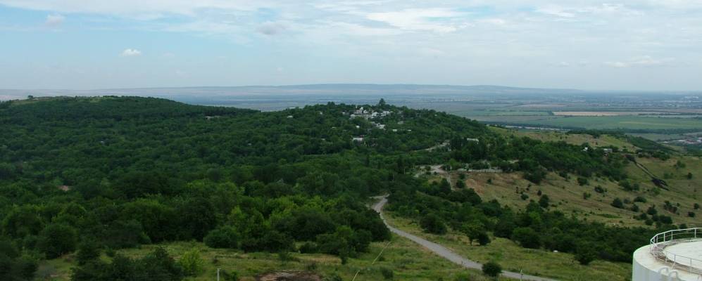 
            Фотография Пригородного