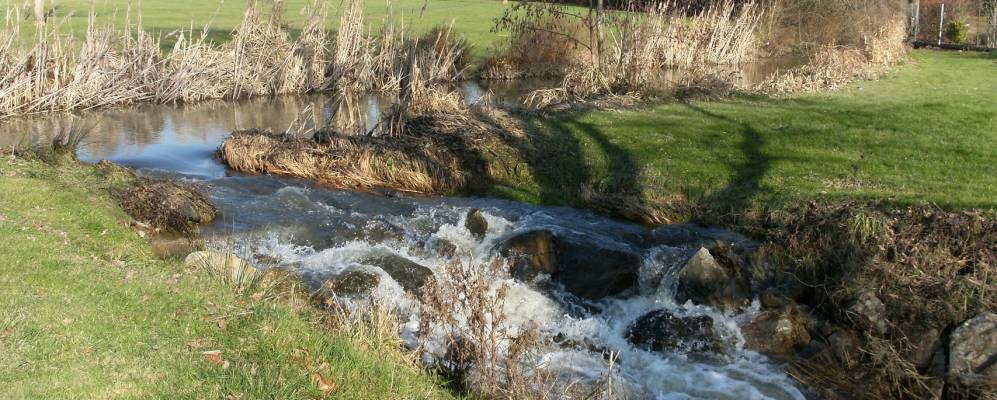 
            Фотография Аза