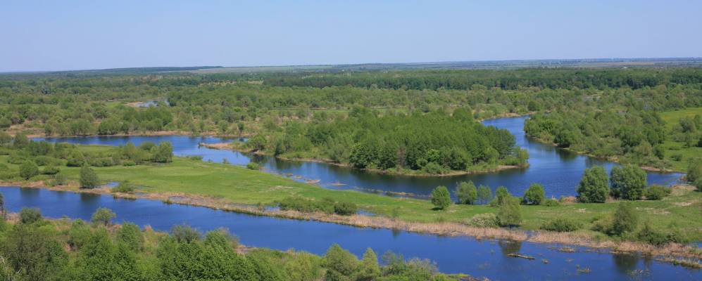 
            Фотография Боброво