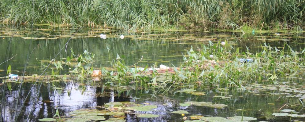 
            Фотография Липовки