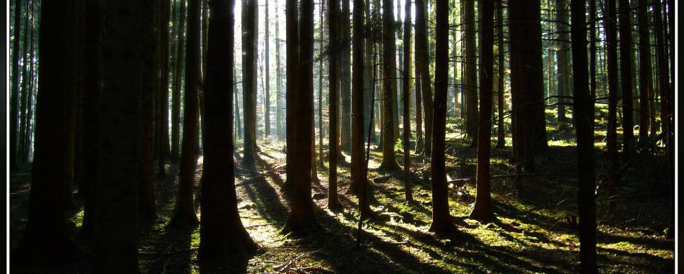 
            Фотография Герцензееа