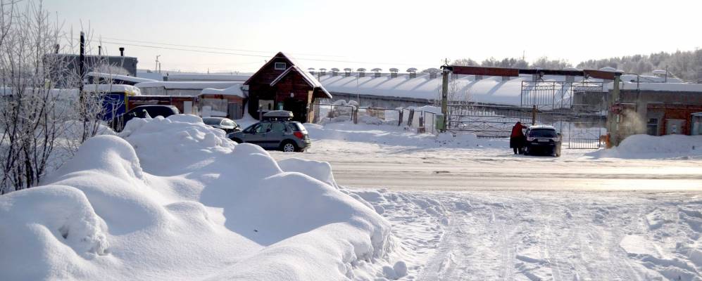 
            Фотография Междуречья