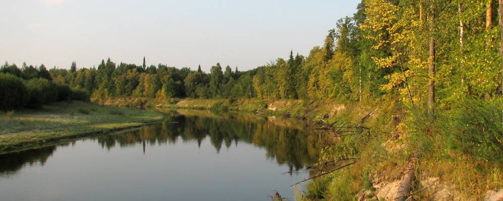 
            Фотография Маркитана