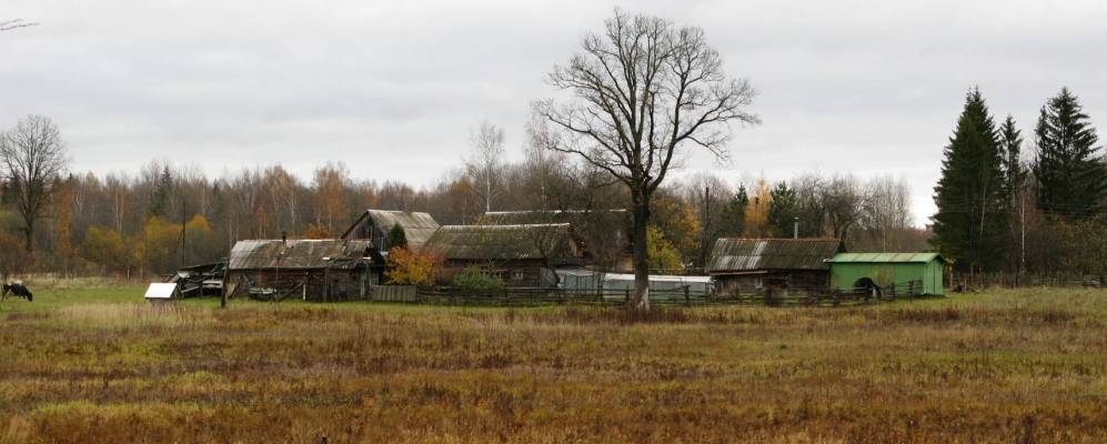 
            Фотография Ушарнево