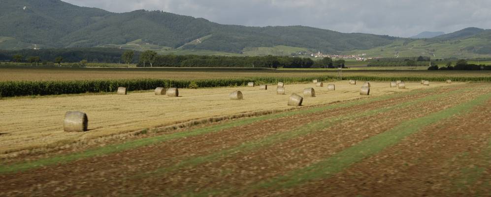 
            Фотография Юнавир
