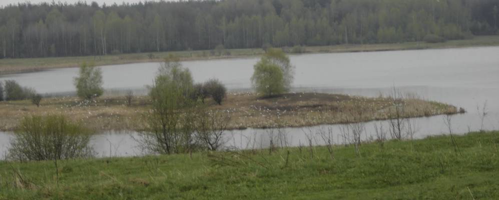 
            Фотография Борзаково