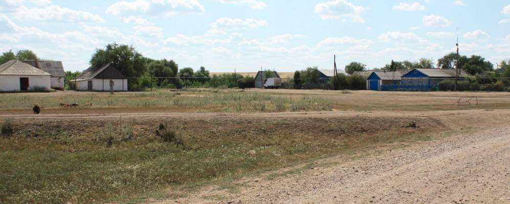 
            Фотография Старицкого