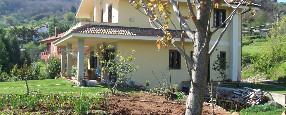 
            Фотография Амарони