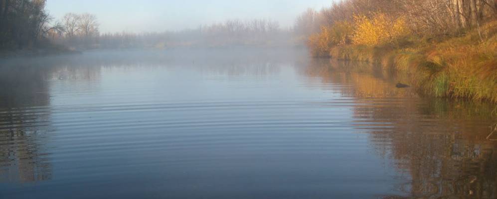 
            Фотография Черепашек