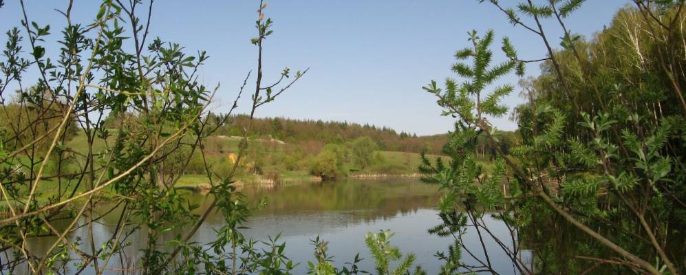 
            Фотография Вишневого