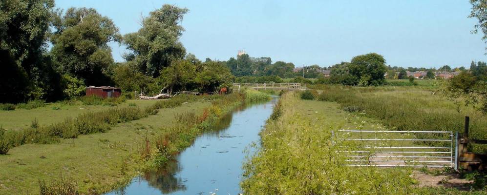 
            Фотография Сохама