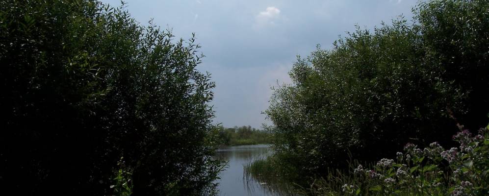 
            Фотография Мудова