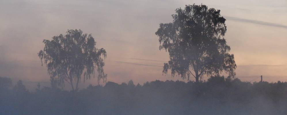 
            Фотография Тетерино