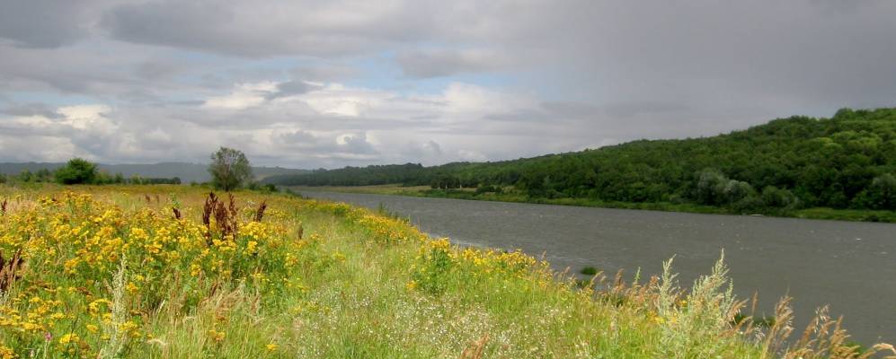 Фотография Пандиковского