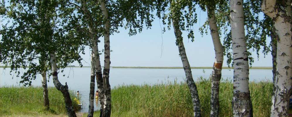 
            Фотография Убалины