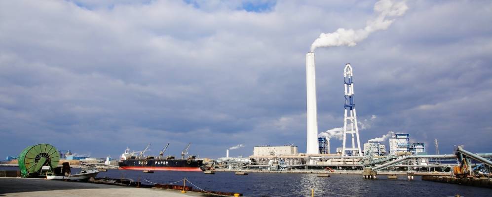 
            Фотография Сикокутюо