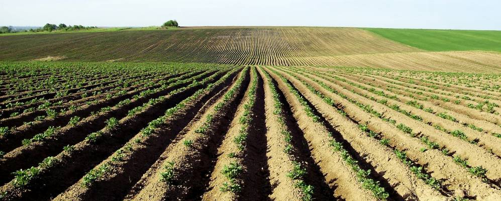 
            Фотография Опоры