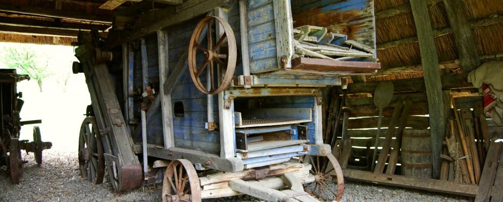 
            Фотография Negreşti-Oaş