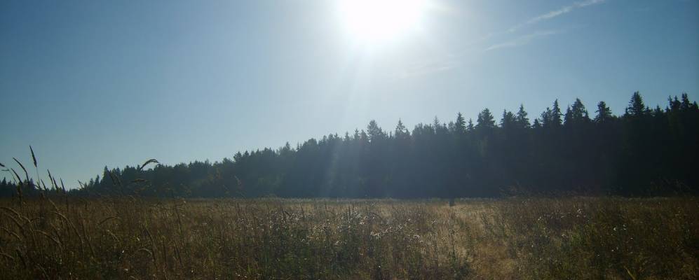 
            Фотография Старого Колена