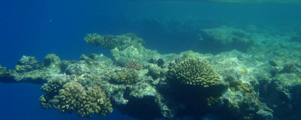 
            Фотография Порт-Галиба