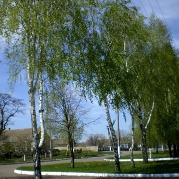 Высокополье