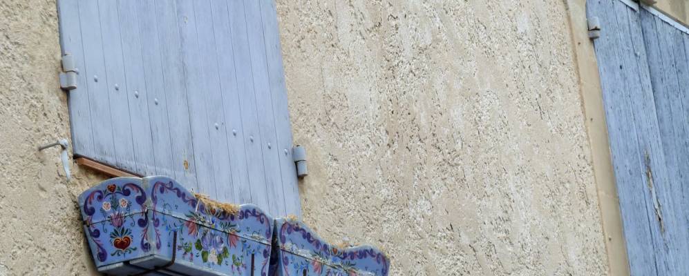 
            Фотография Бульбона