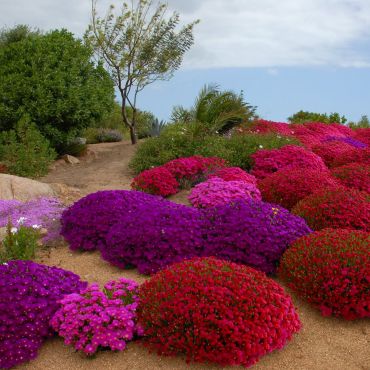 Порто-Ротондо