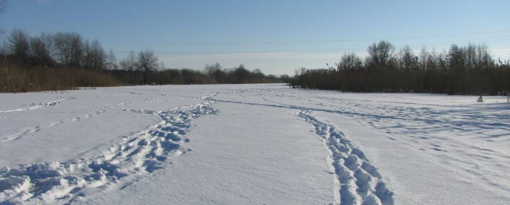 Фотография Коваленки