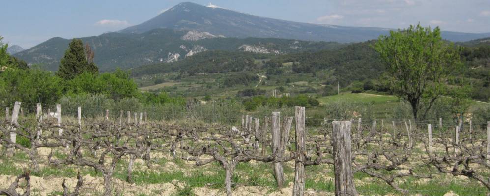 
            Фотография Сен-Ипполит-ле-Граверон