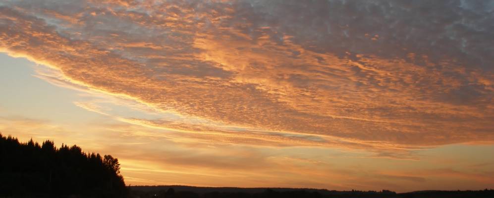 Фотография Черной