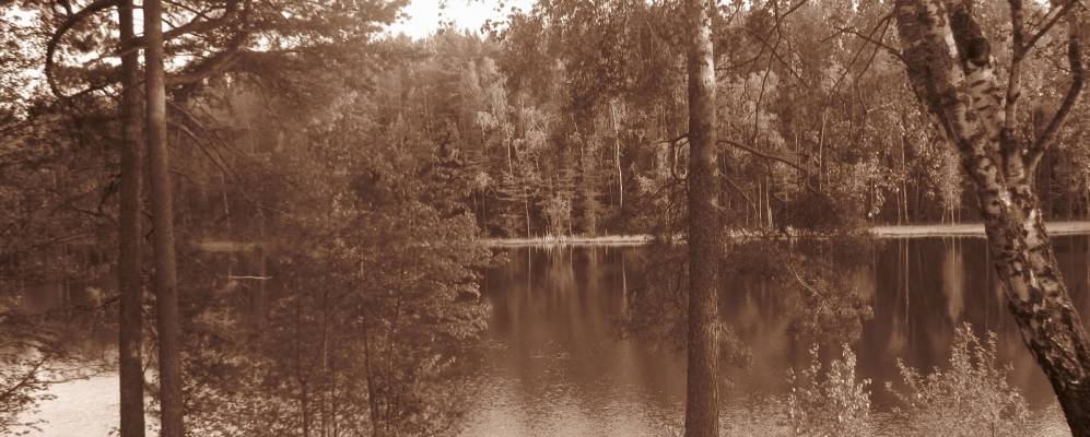 Фотография Колпино