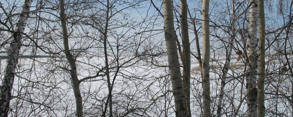 
            Фотография Култука