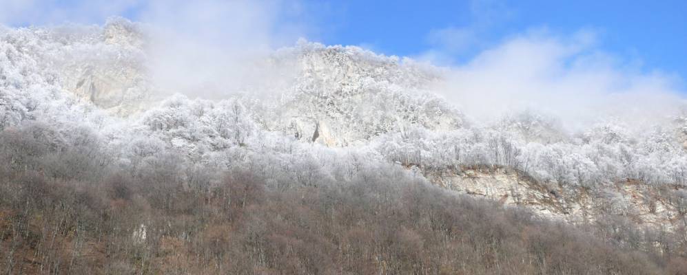 
            Фотография Мизура