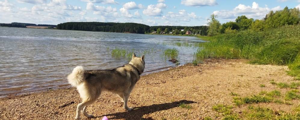 
            Фотография при станции Григорьевское