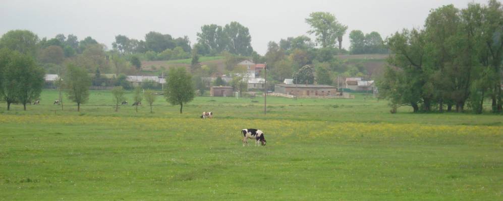 
            Фотография Банюнина