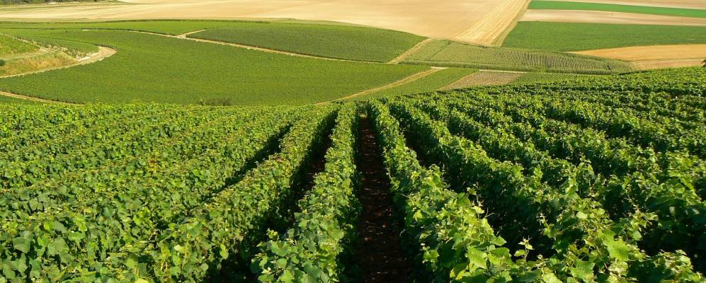 
            Фотография Монмирая