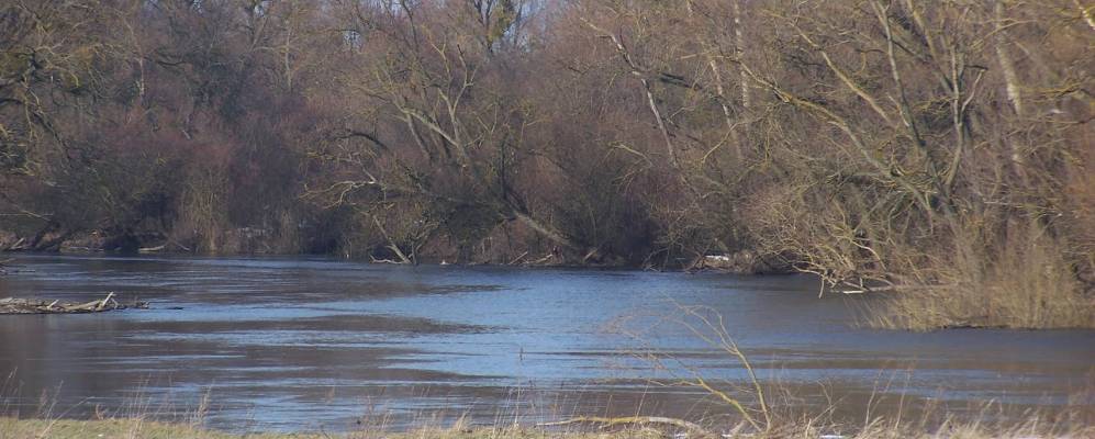 
            Фотография Терехи