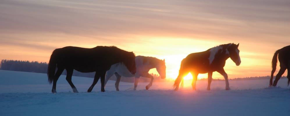 
            Фотография Токарей