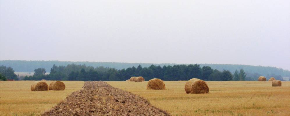 
            Фотография Секирино