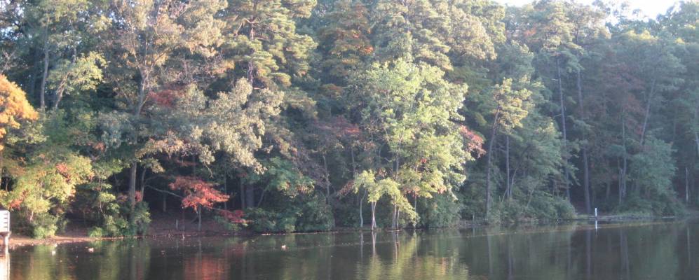 
            Фотография Пасадены