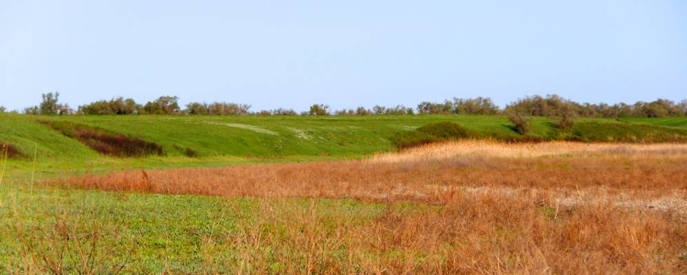 
            Фотография Кузнецовского
