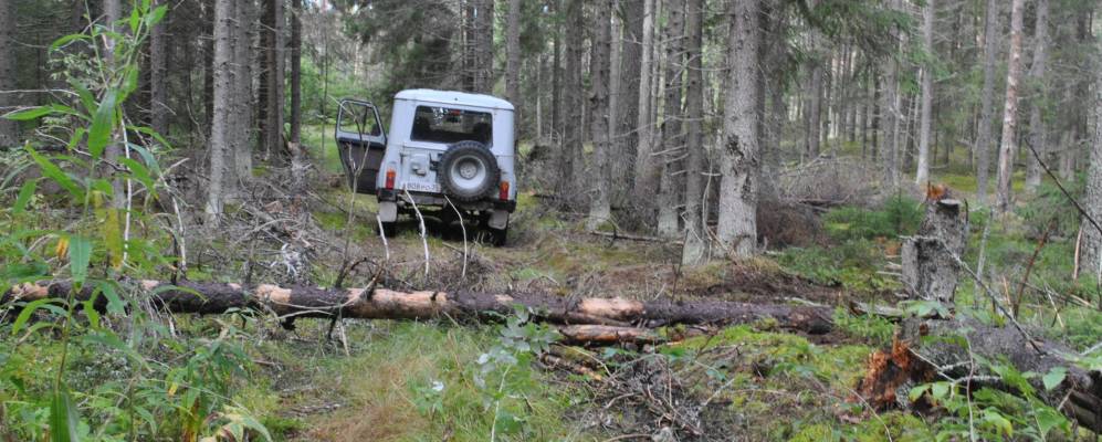 
            Фотография Малого Помясово