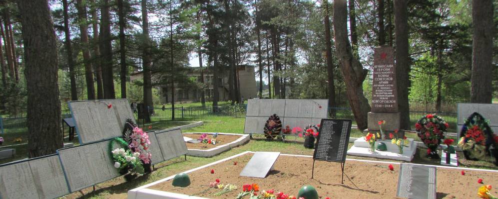 
            Фотография Молвотицов