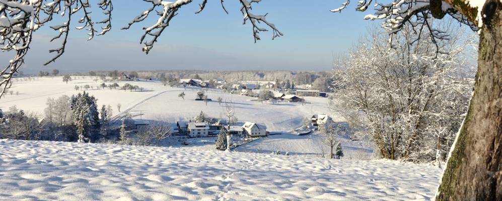 
            Фотография Фрайамта