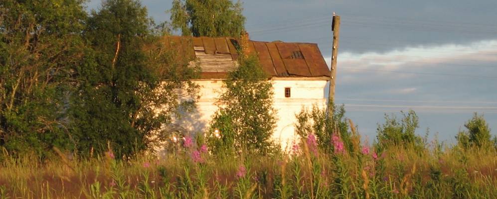 
            Фотография Кийно