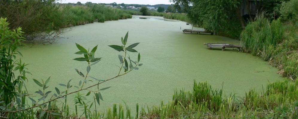 
            Фотография Мирового