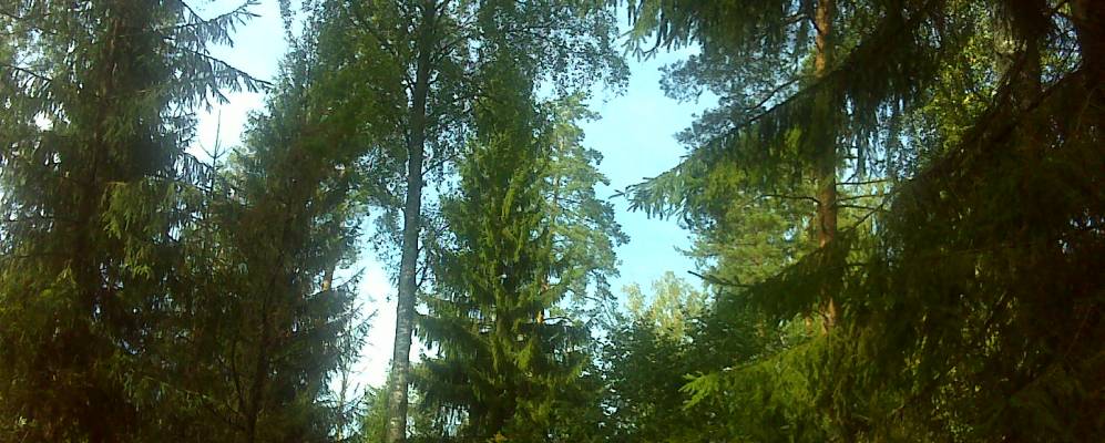 
            Фотография Капустино