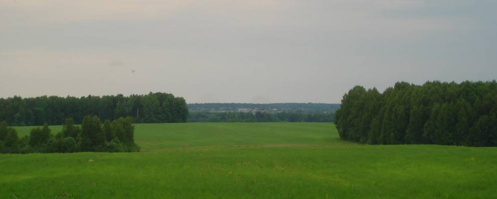 Фотография Толстиково